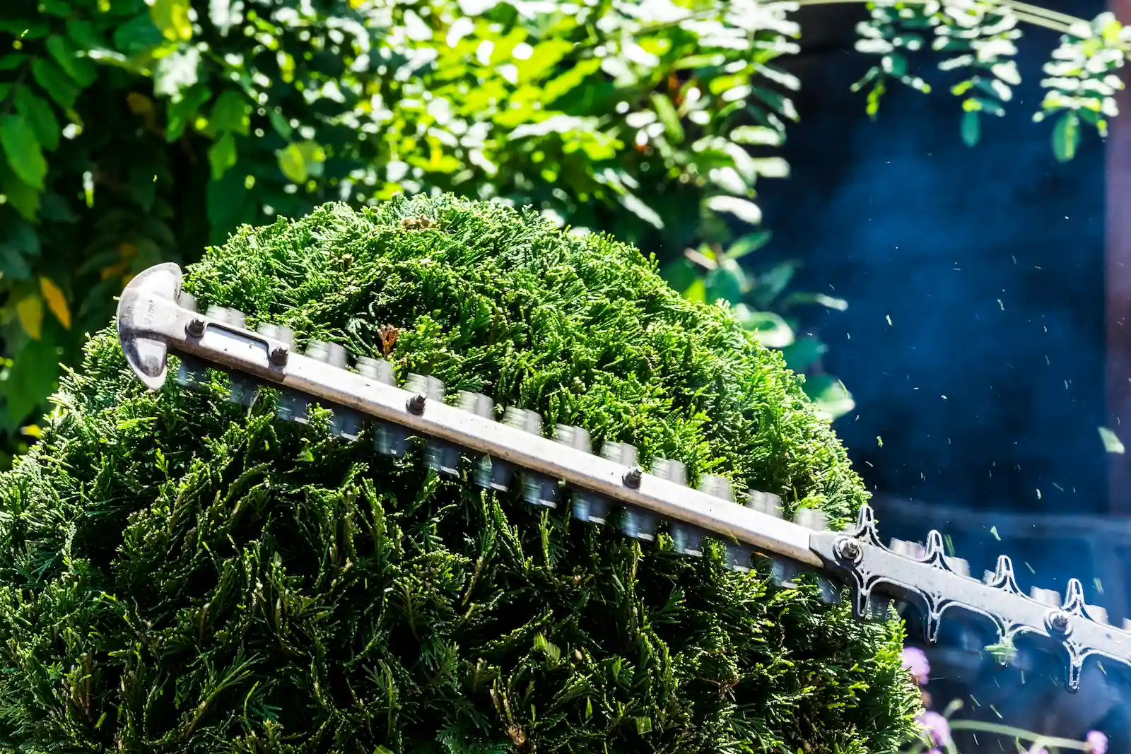 Rezidba živice trimerom kao dio redovitog održavanja okućnice na otoku