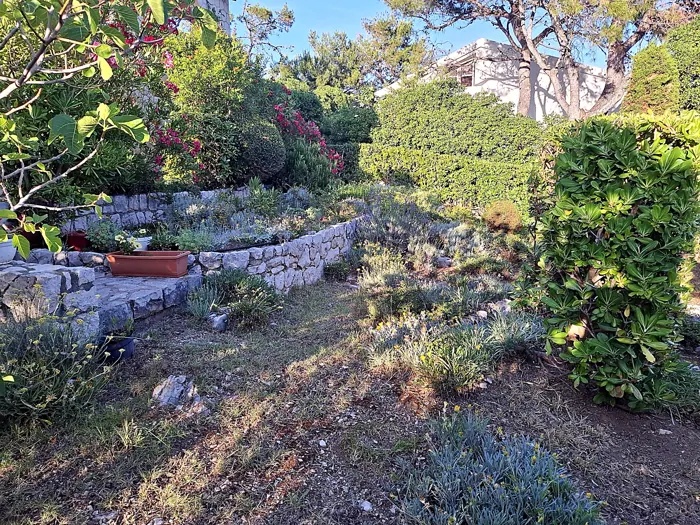 Uređena terasasta gredica s mediteranskim biljem, Košljun